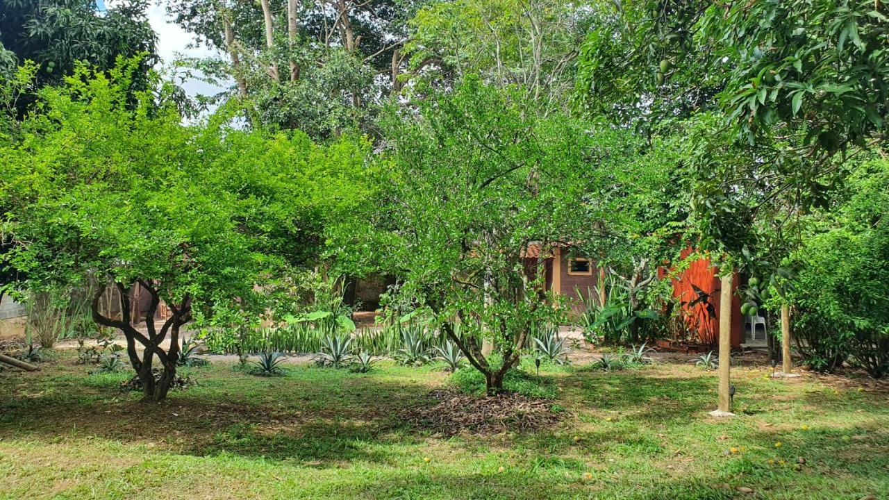 Free Soul House - Localizacao Ideal No Centrinho อัลโต ปาไรโซ เด โกยาส ภายนอก รูปภาพ